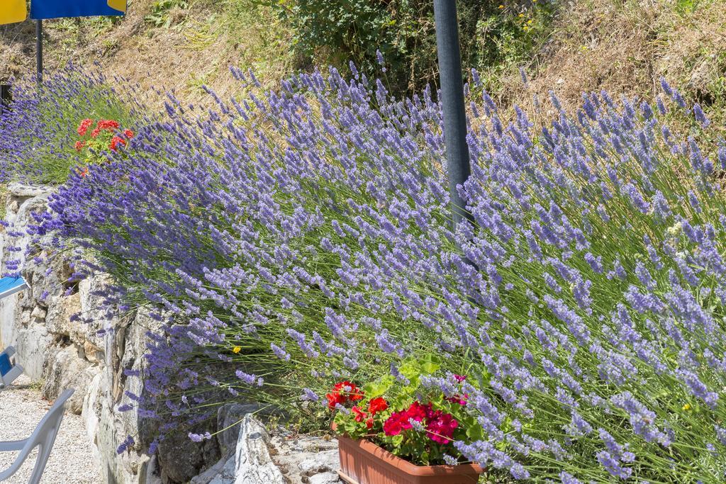 Agriturismo Monte Acuto Umbertide Eksteriør billede