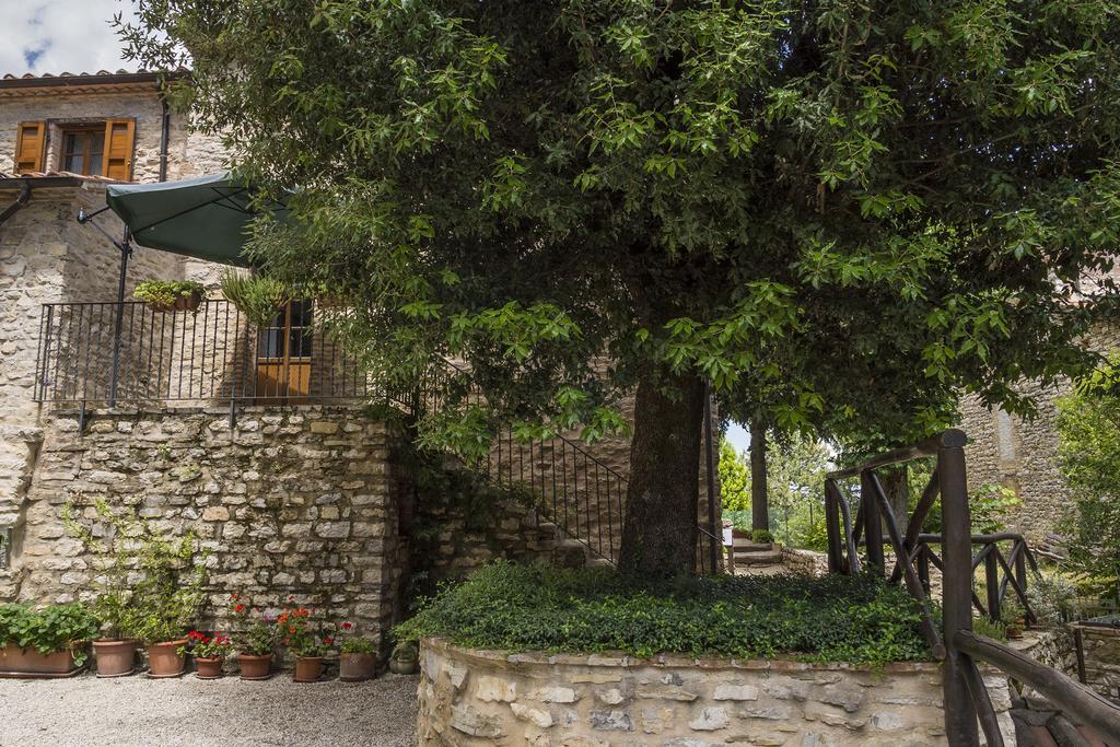 Agriturismo Monte Acuto Umbertide Værelse billede
